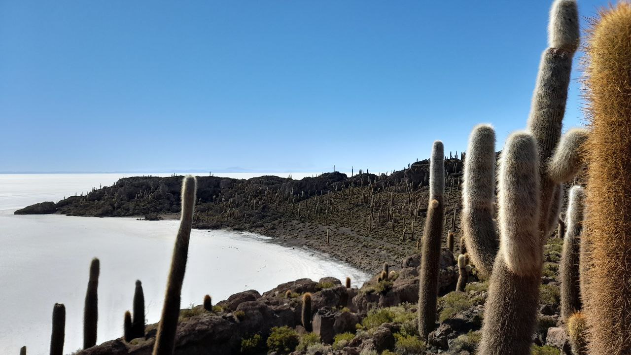 Imagen de galería