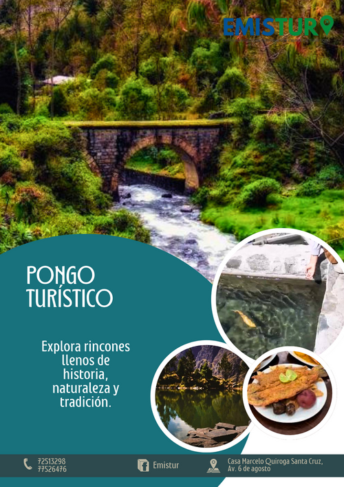 Pongo Turístico